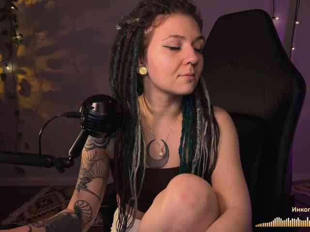 SOVA_tut webcam
