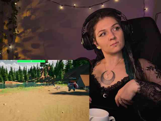 SOVA_tut webcam