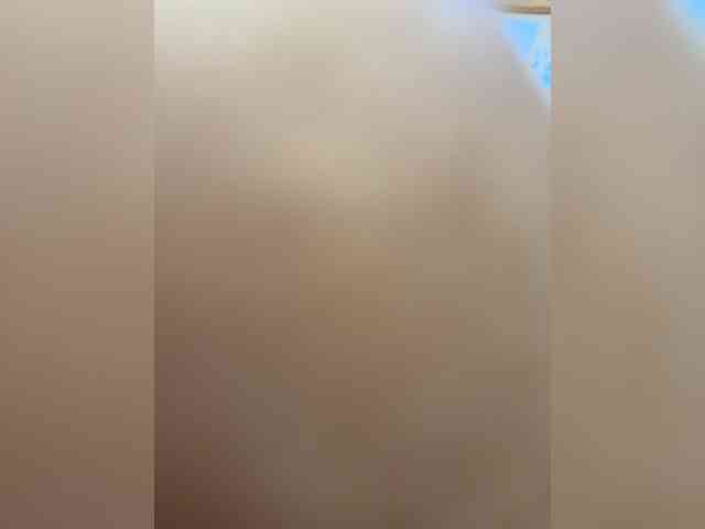 AnthoRausit webcam