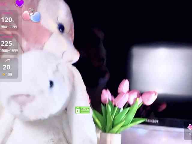 yuyouwei webcam