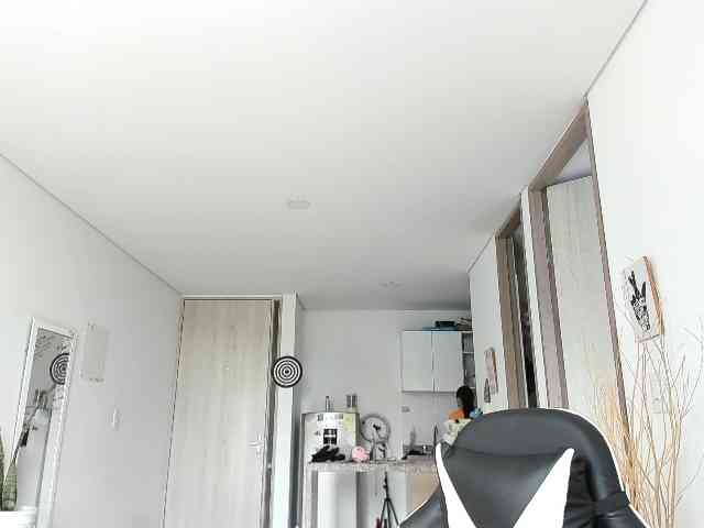 RevySadashiTrue webcam