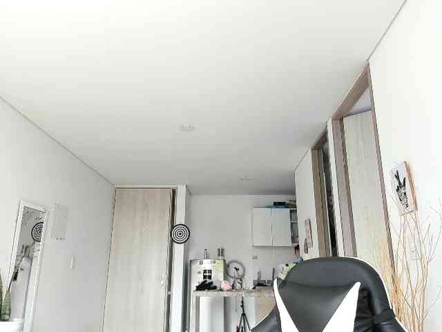 RevySadashiTrue webcam