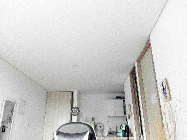 RevySadashiTrue webcam