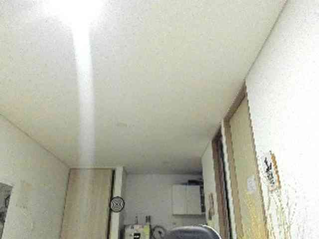 RevySadashiTrue webcam