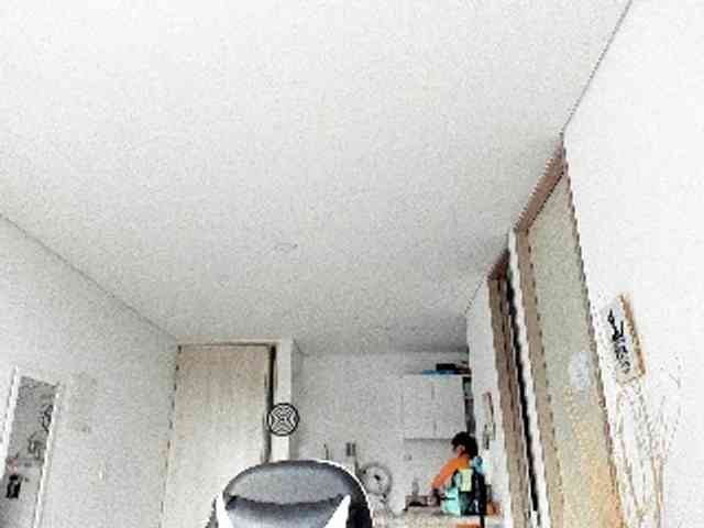 RevySadashiTrue webcam