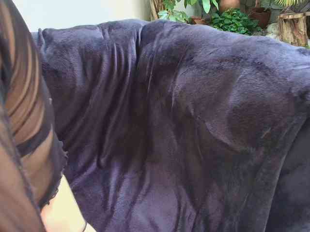 sharon-greey webcam