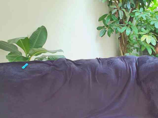 sharon-greey webcam