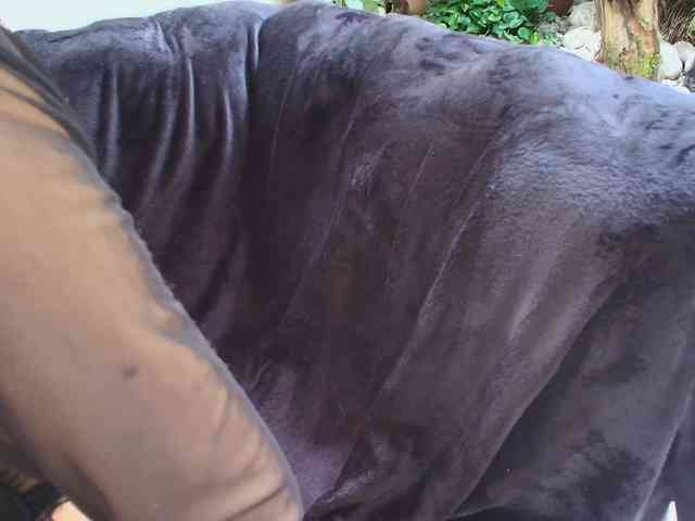 sharon-greey webcam