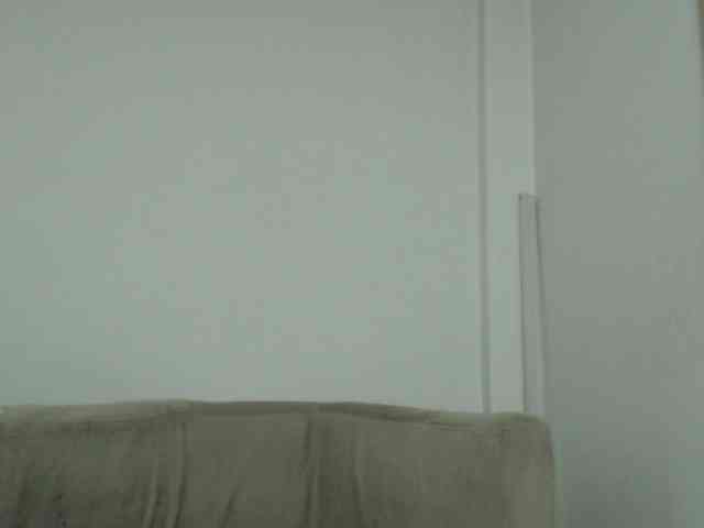 CCOLLI webcam