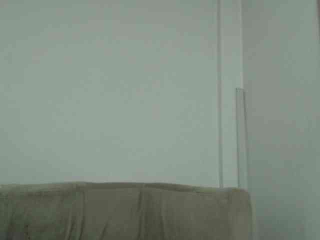 CCOLLI webcam