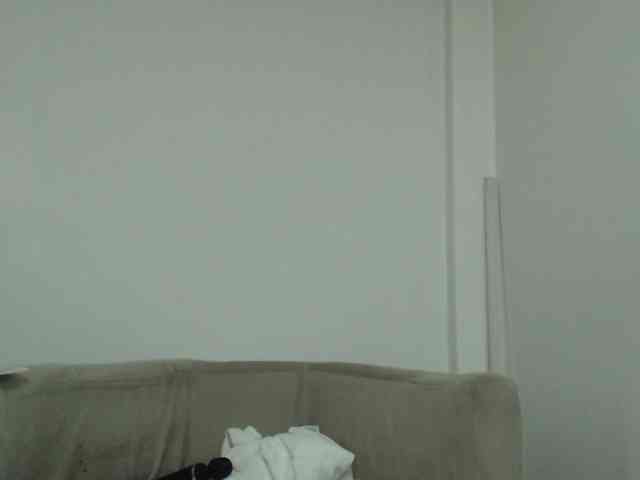CCOLLI webcam