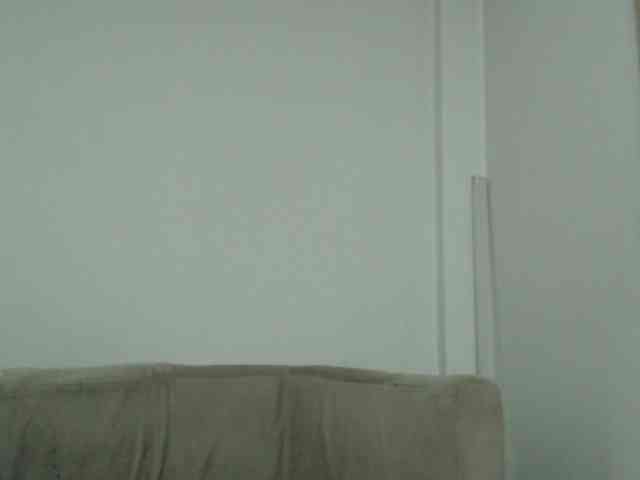 CCOLLI webcam