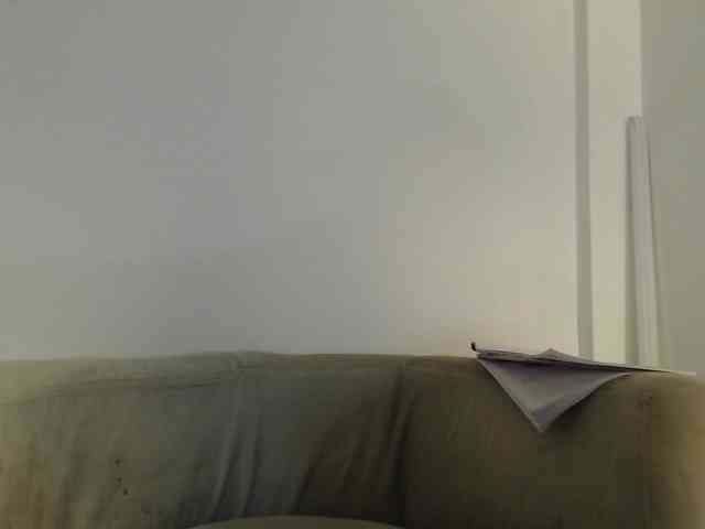 CCOLLI webcam