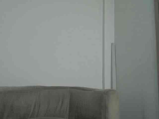 CCOLLI webcam