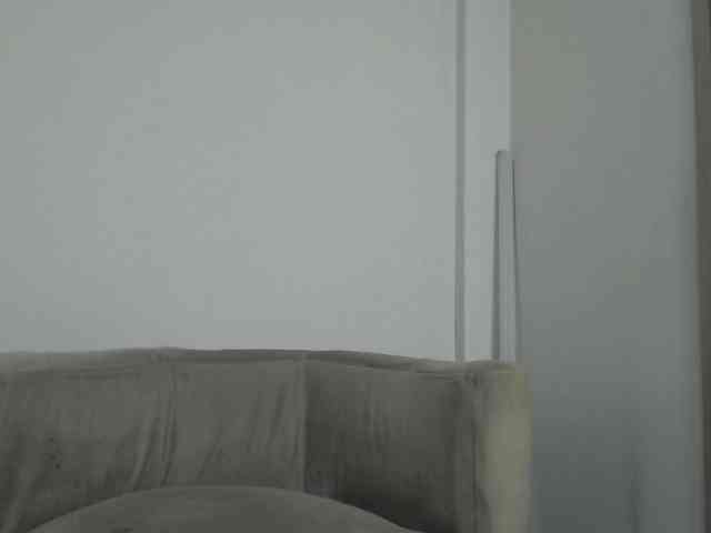 CCOLLI webcam