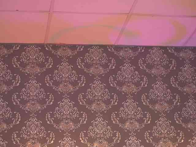 AlmaVelia webcam