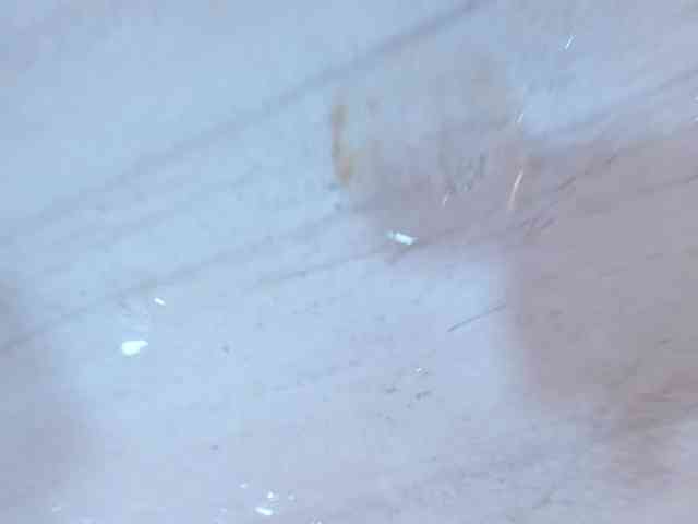 BelindaAndAmbar webcam