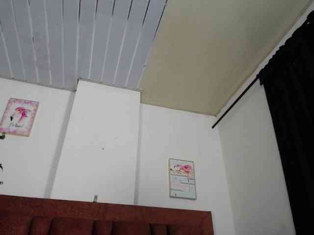 vauroracooper webcam