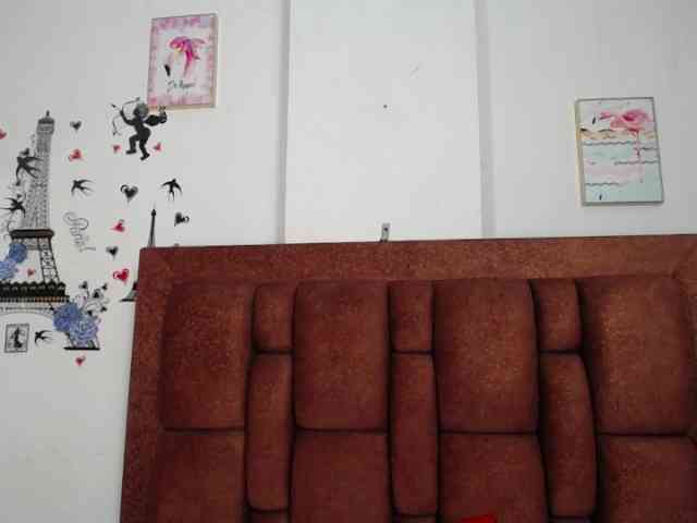 vauroracooper webcam