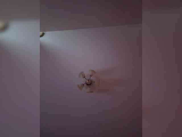Maria-5 webcam