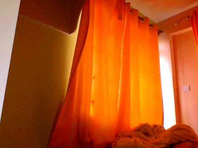 sauccyspoilage webcam