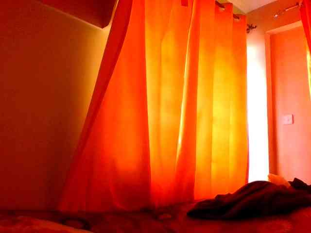sauccyspoilage webcam