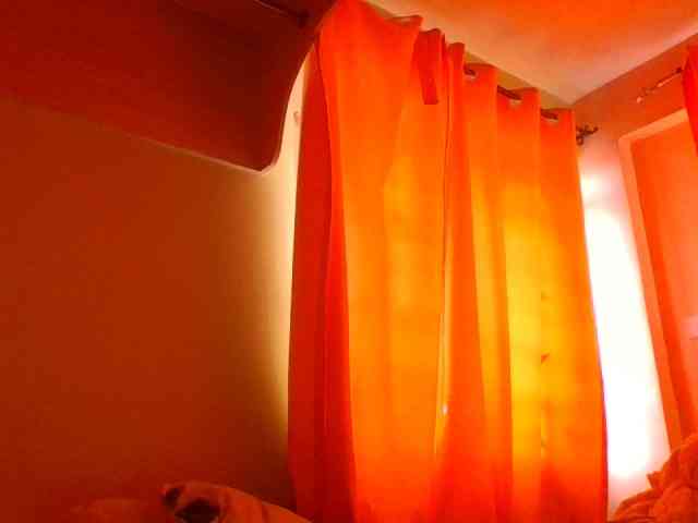 sauccyspoilage webcam