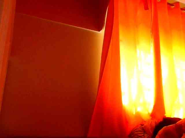 sauccyspoilage webcam