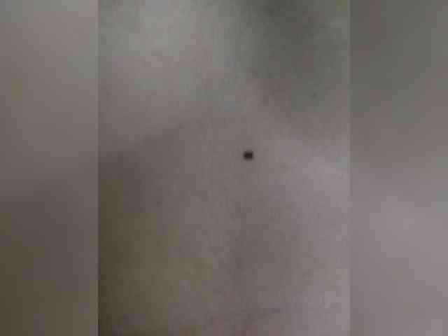 dirtylittleprincess59 webcam