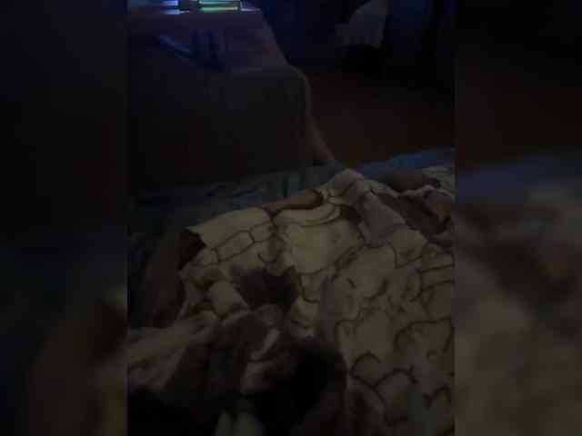 Chemezoff webcam