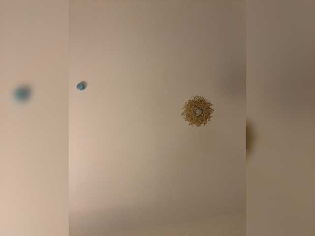 Entrez le videochat erotique avec le
modèle lina_wap lina_wap