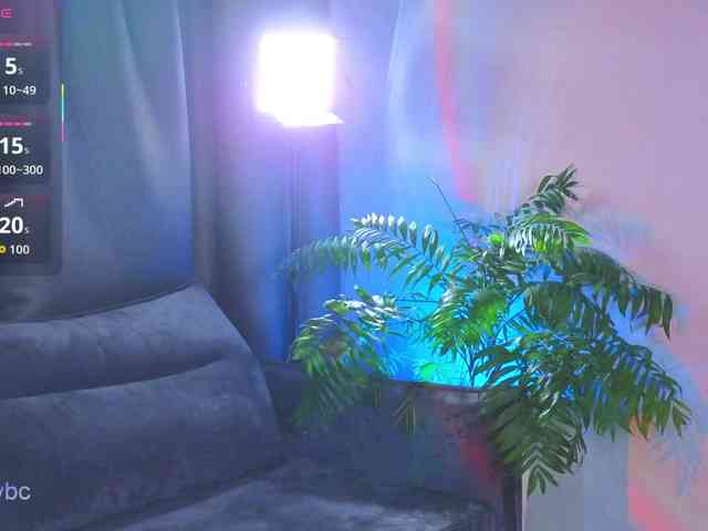 HotKsy webcam