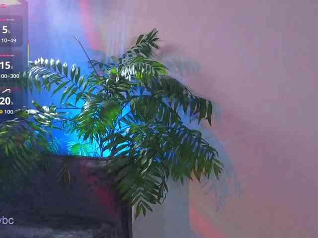 HotKsy webcam