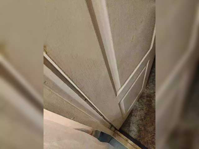 Entrez le videochat erotique avec le
modèle sluska1 sluska1