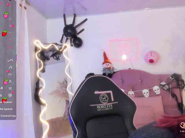 Palmerfox-tay webcam