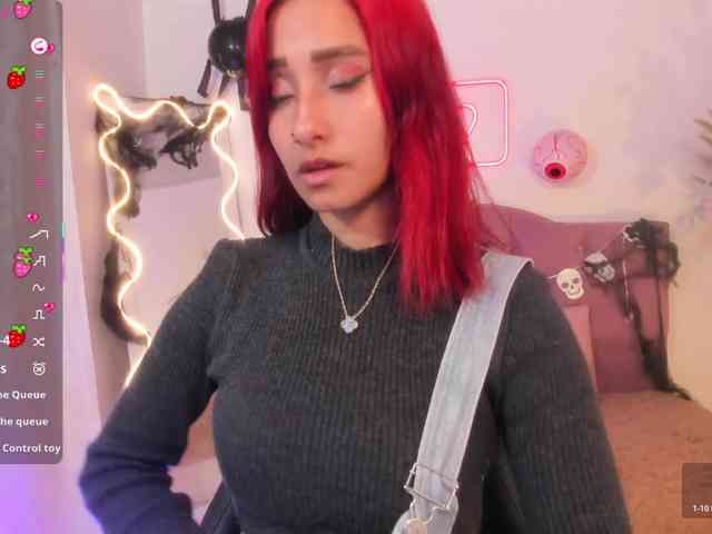 Palmerfox-tay webcam