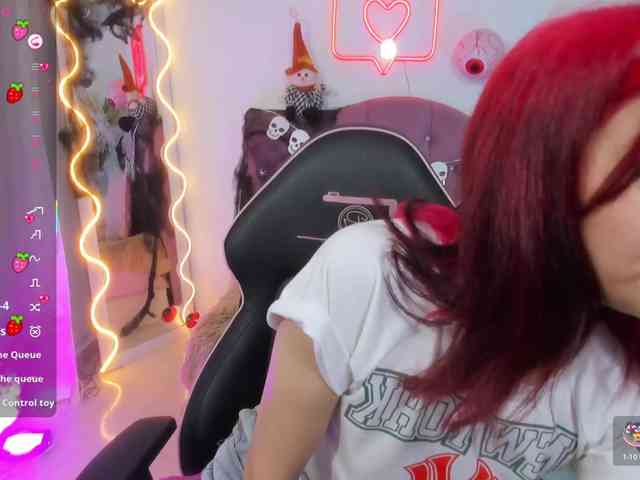 Palmerfox-tay webcam