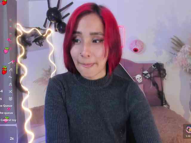 Palmerfox-tay webcam