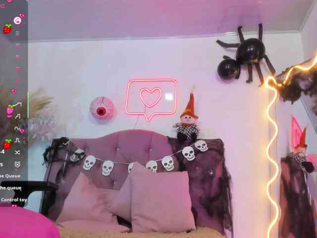 Palmerfox-tay webcam