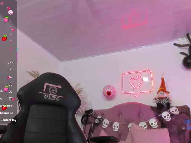 Palmerfox-tay webcam