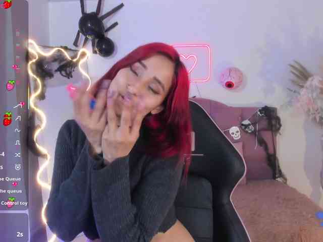 Palmerfox-tay webcam