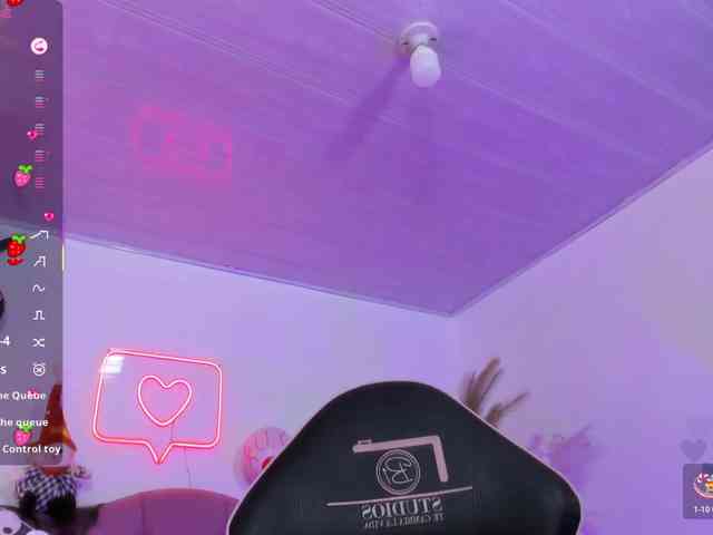 Palmerfox-tay webcam