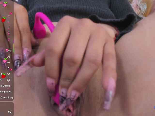 Palmerfox-tay webcam