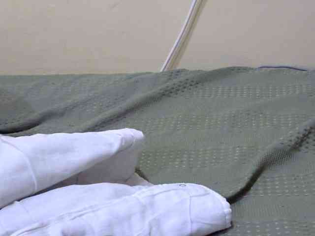 Slimkittey webcam
