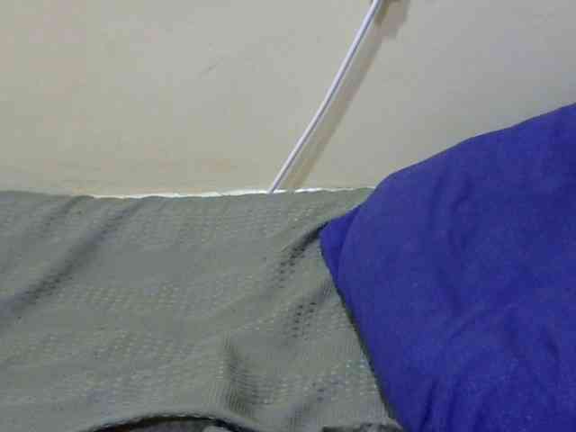 Slimkittey webcam