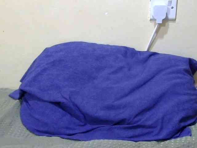 Slimkittey webcam
