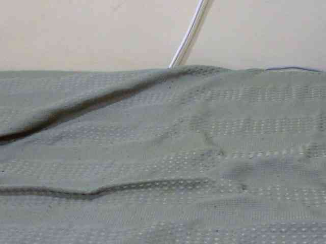 Slimkittey webcam