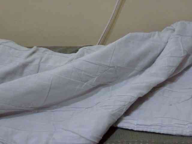 Slimkittey webcam