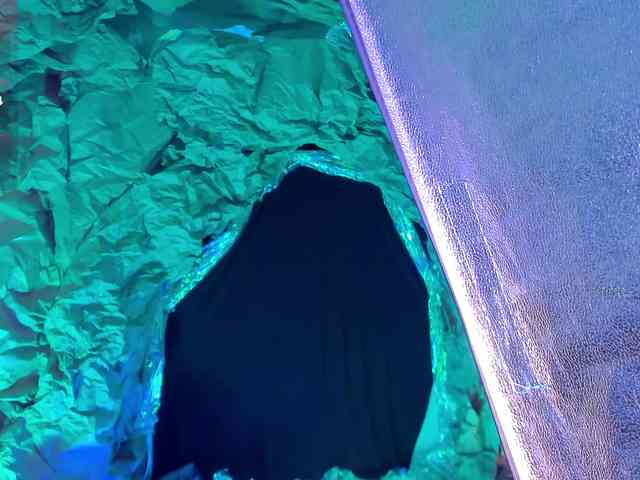 ElizabethBennet webcam