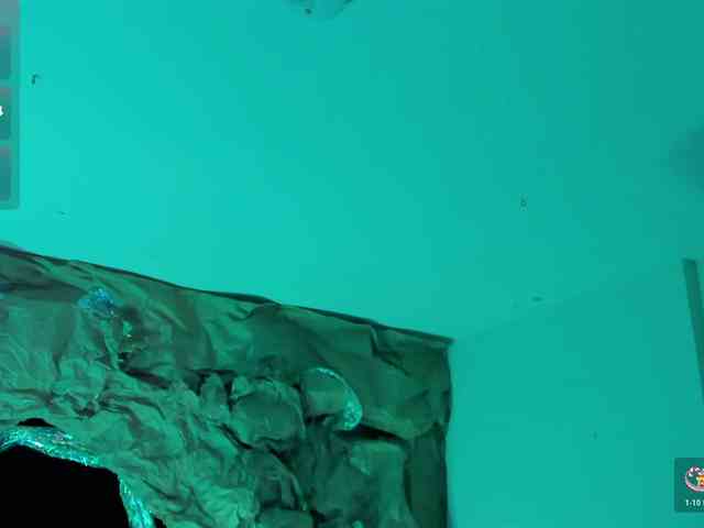 ElizabethBennet webcam